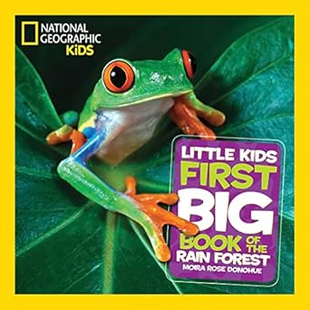 LITTLE KIDS FIRST BIG BOOK OF THE RAIN FOREST