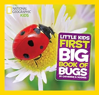 FIRTS BIG BK OF BUGGD
