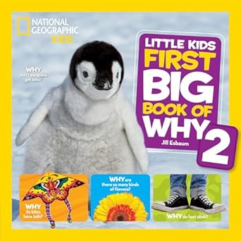 LITTLE KIDS FIRST BIG BOOK OF WHY