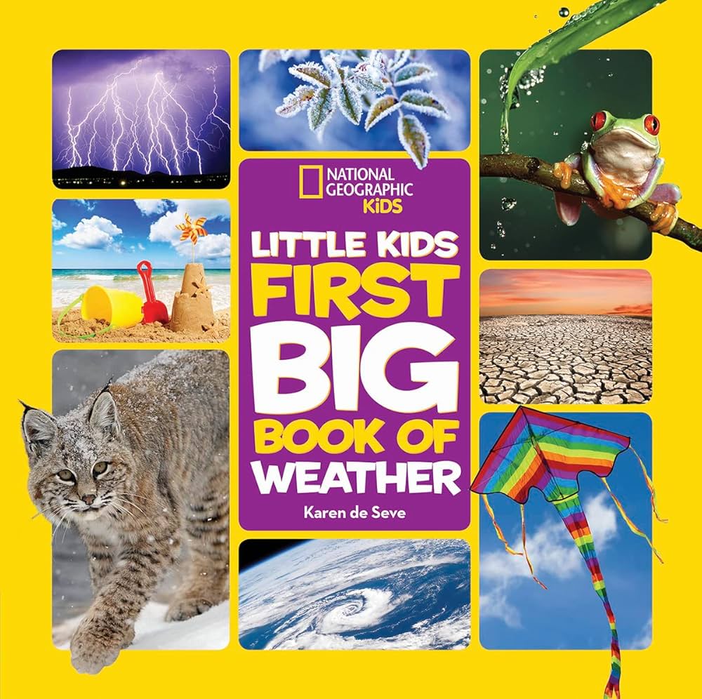 LITTLE KIDS FIRST BIG BOOK OK WEATHER
