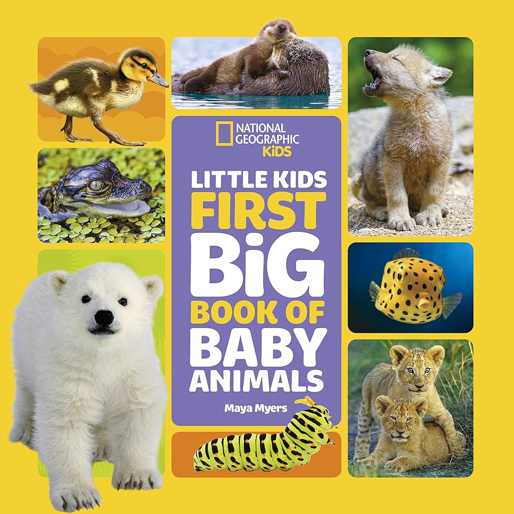 LITTLE KIDS FIRST BIG BOOK OF BABY ANIMALS