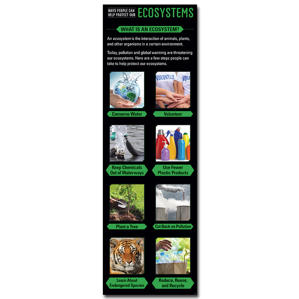 Ecosystems Giant Banner