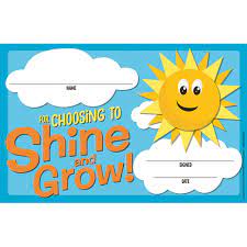 GROWTH MINDSET CHOOSING TO SHINE & GROW AWARDS