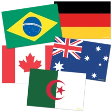 INTERNATIONAL FLAGS