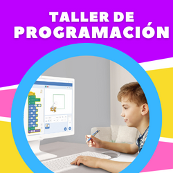 Curso de Programaci?n Infantil
