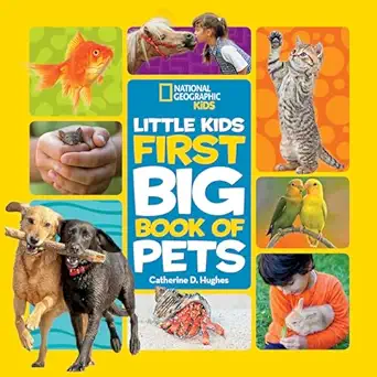 LITTLE KIDS FIRST BIG BOOK OF PETS