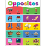 OPPOSITES CHART