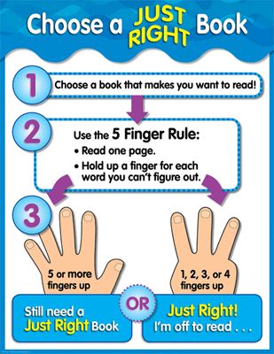 CHOOSE A JUST RIGHT BOOK