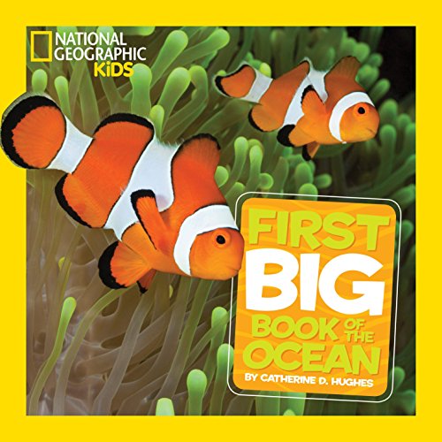 LITTLE KIDS FIRST BIG BOOK OF OCEAN