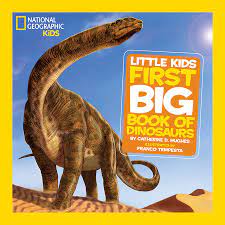 LITTLE KIDS FIRST BIG BOOK OF DINOSAURS