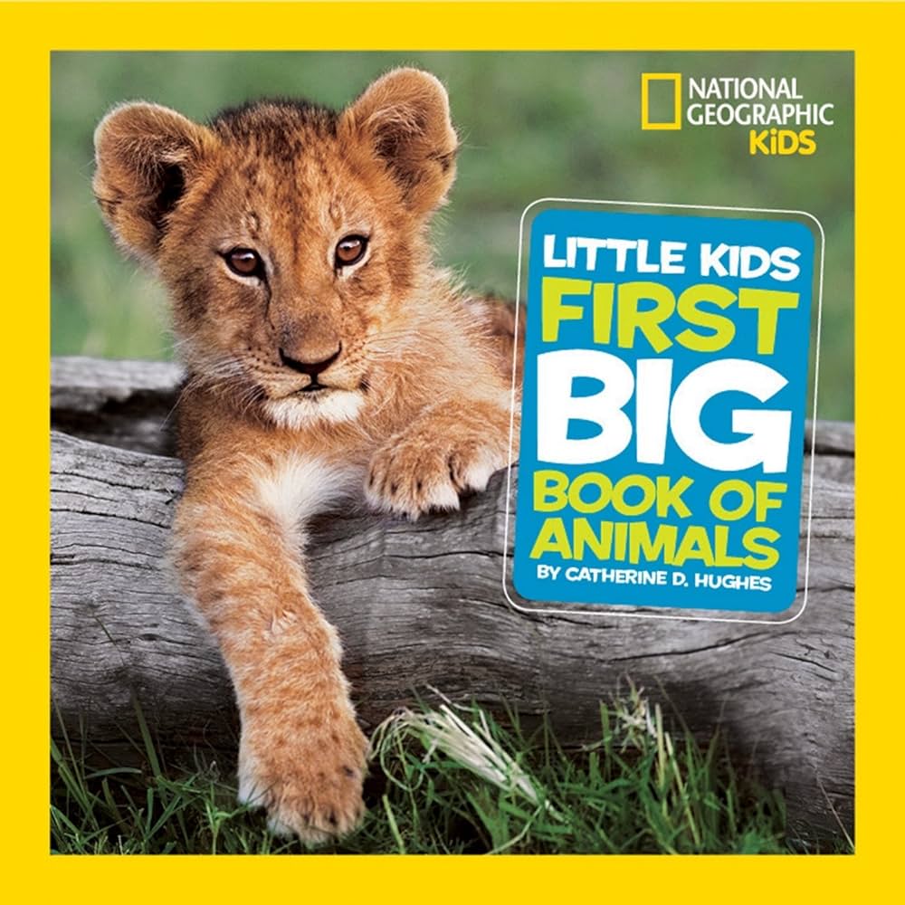 LITTLE KIDS FIRST BIG BOOK OF ANIMALS