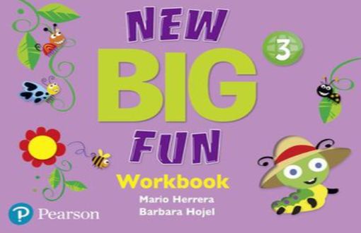 NEW BIG FUN WB 3 PS