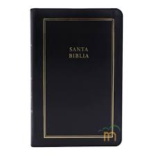 BIBLIA LETRA GIGANTE NEGRA