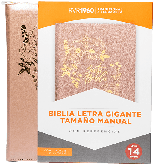 BIBLIA LETRA GIGANTE RVR 1960