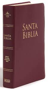 SANTA BIBLIA BORGO?A REINA VALERA 1960