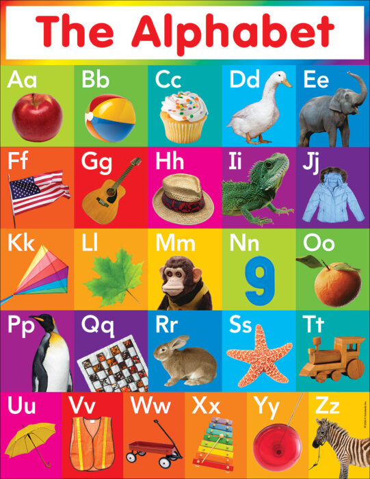 THE ALPHABET CHARTS