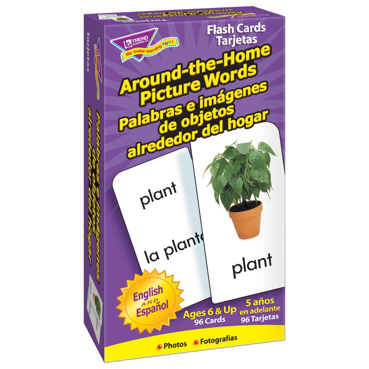 AROUND-THE-HOME PICTURE WORDS