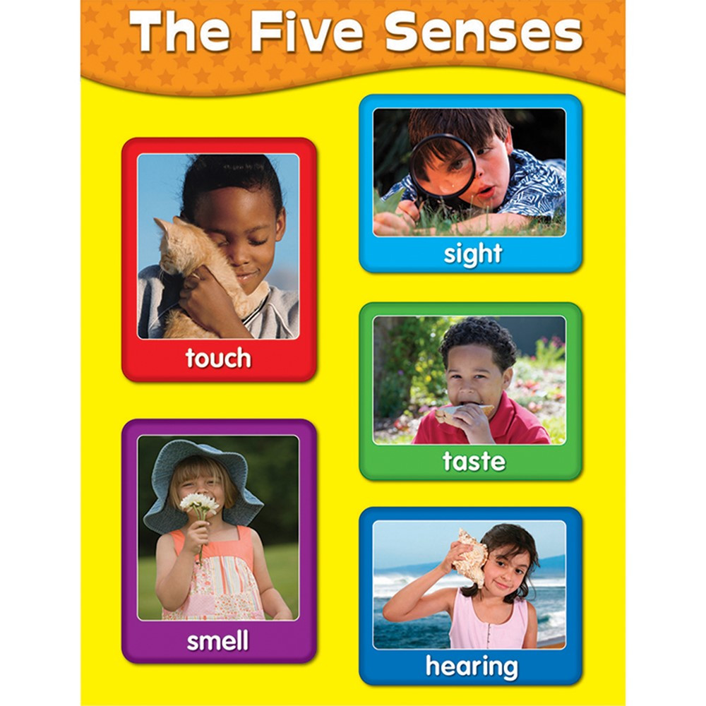 THE FIVE SENSES CHARTS
