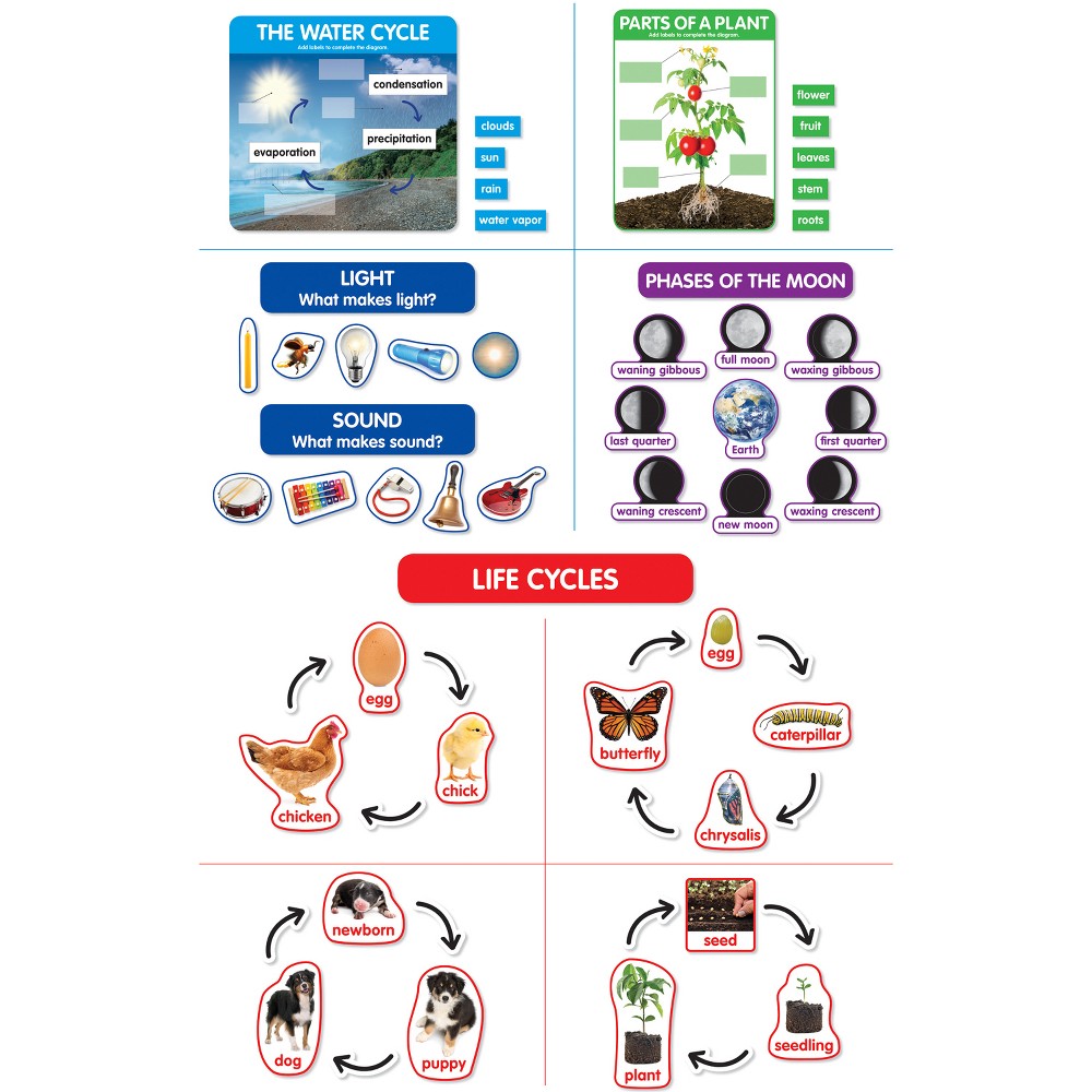 SCIENCE CONCEPTS BULLETIN
