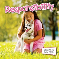 RESPONSIBILITY BOOKS