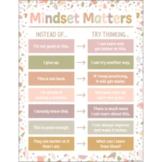 MINDSET MATTERS CHART