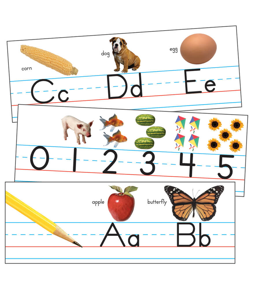 Traditional Manuscript Alphabet s Bulletin Board