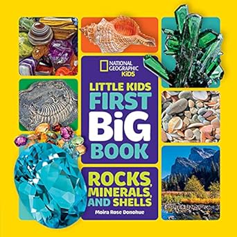 LITTLE KIDS FISRT BOOK OF ROCKS MINE